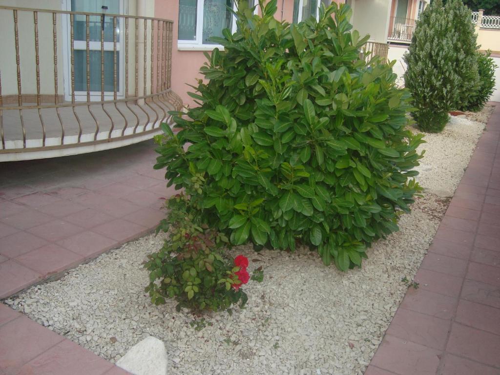 Apartment А13 In Sea Paradise Complex Kavarna Eksteriør bilde